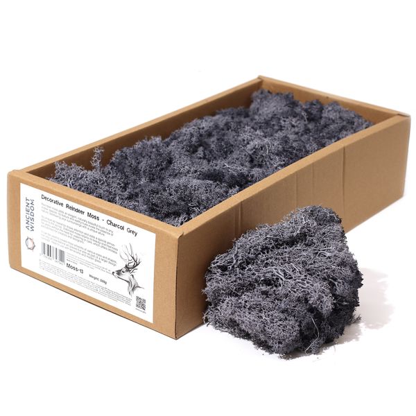 Mousse de rennes en décoration - Gris anthracite - (environ 500g)