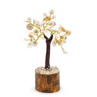 Moyen Arbre de Pierres Gomati Chakra en Cercle - (45 pierres)