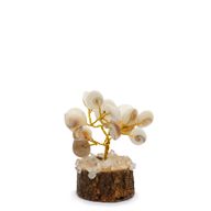 Petit Arbre de Pierres Gomati Chakra en Cercle avec Rudraksha - (15 pierres)