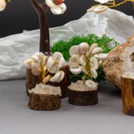 Petit Arbre de Pierres Gomati Chakra en Cercle avec Rudraksha - (15 pierres)