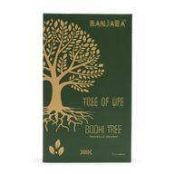 Encens botanique Banjara - Arbre Bodhi