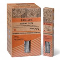Bâtons de Fumigation Banjara Palo Santo - Copal