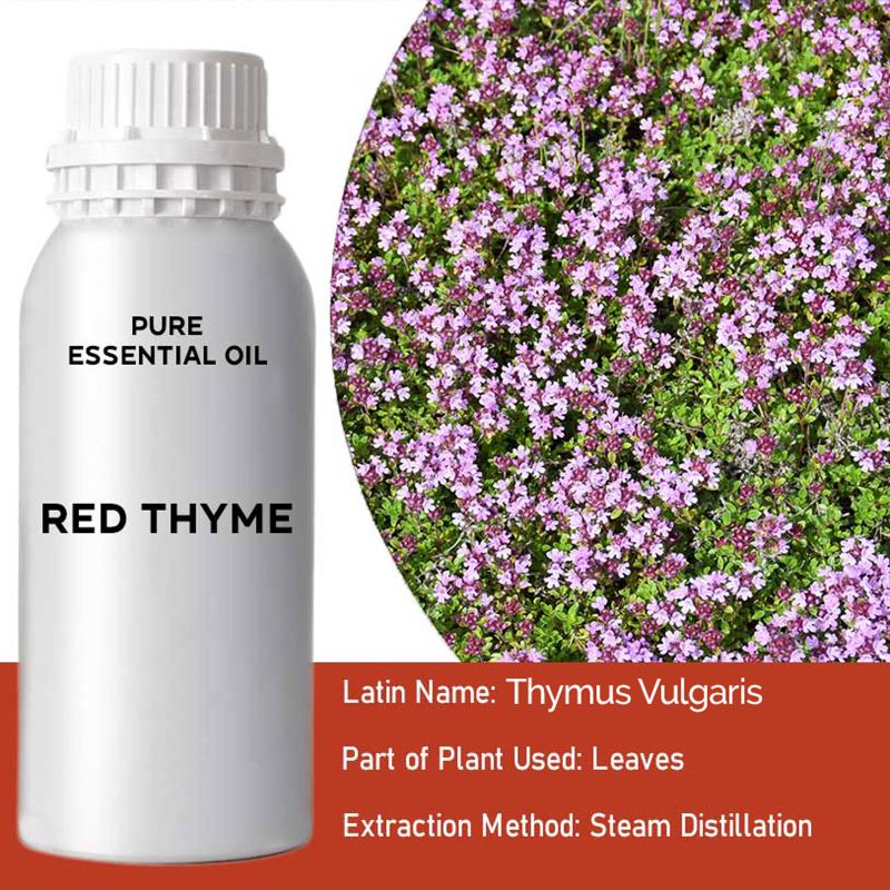Huile Essentielle de Thym Rouge 0,5kg