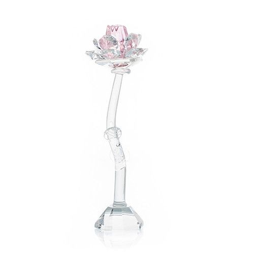 Rose - Rose