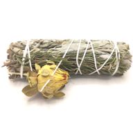 Batonnets de Sauge avec Emballage Kraft - Sauge Paisible 10cm