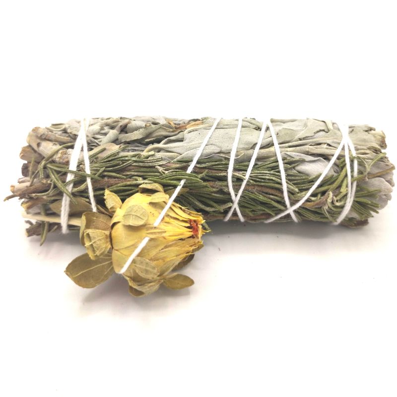 Batonnets de Sauge avec Emballage Kraft - Sauge Paisible 10cm