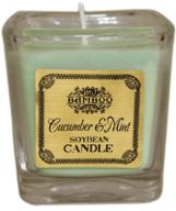 Bougie à la cire de soja - Concombre et menthe