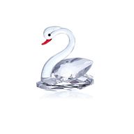 Cygne Blanc