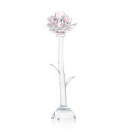 Rose - Rose