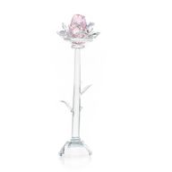 Rose - Rose