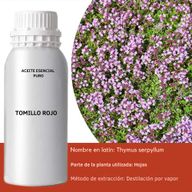 Huile Essentielle de Thym Rouge 0,5kg