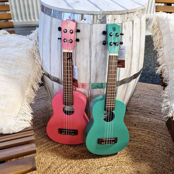 Ukulélés Artisanaux en Bois avec Housse