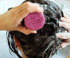 Pack de démarrage shampoing solide