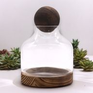 Terrarium à Boule Moyenne sur Bois de Tung Foncé - 17x22cm