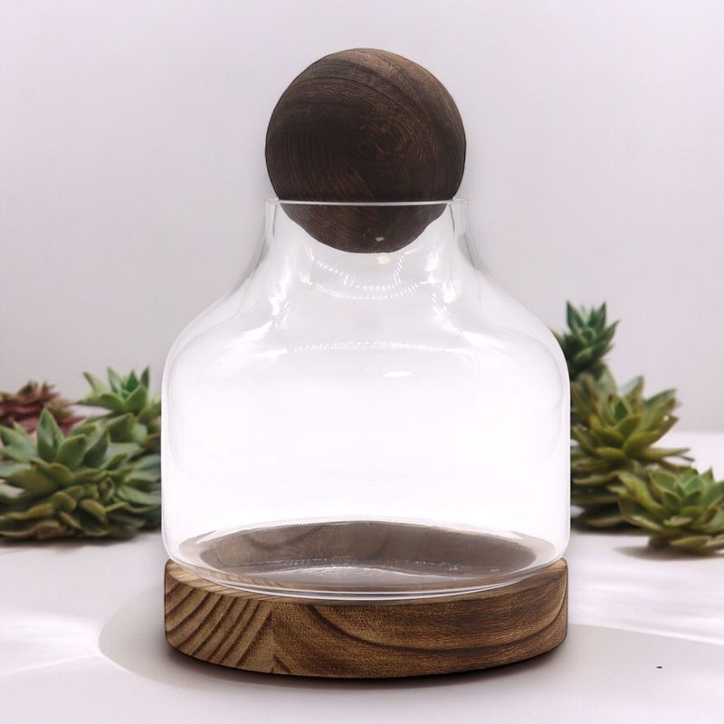Terrarium à Boule Moyenne sur Bois de Tung Foncé - 17x22cm