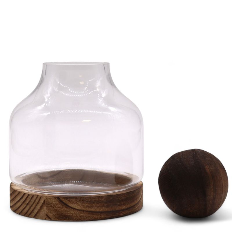 Terrarium à Boule Moyenne sur Bois de Tung Foncé - 17x22cm