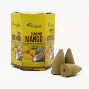 Encens Masala backflow de gamme grossiste