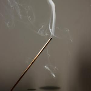 Bâtons d'Encens de Jardin Biofresh