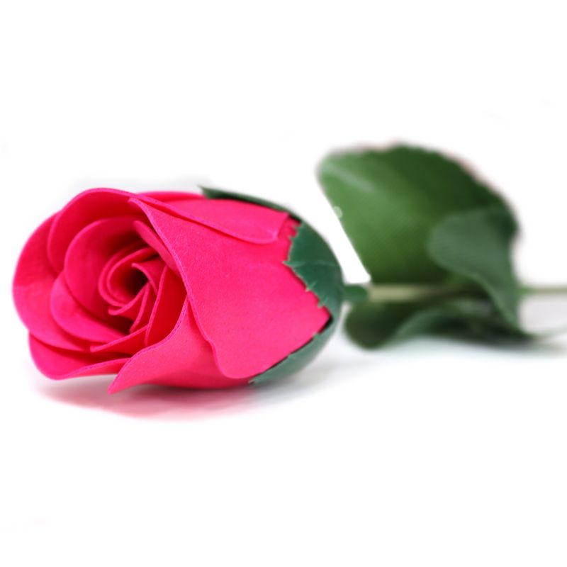 Fleurs Uniques et Présentoir - Petites Roses Roses