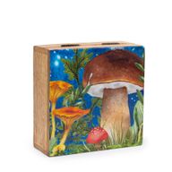 Boîte carrée moyenne 13,5x13,5x6 cm - Design Champignon Bleu-vert