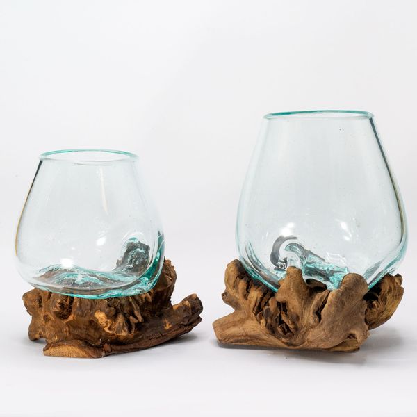Verre en fusion sur bois parasite rare - Modèle Moyen