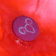 Ensemble de Boules de Bain du Zodiaque avec Horoscope - Bélier