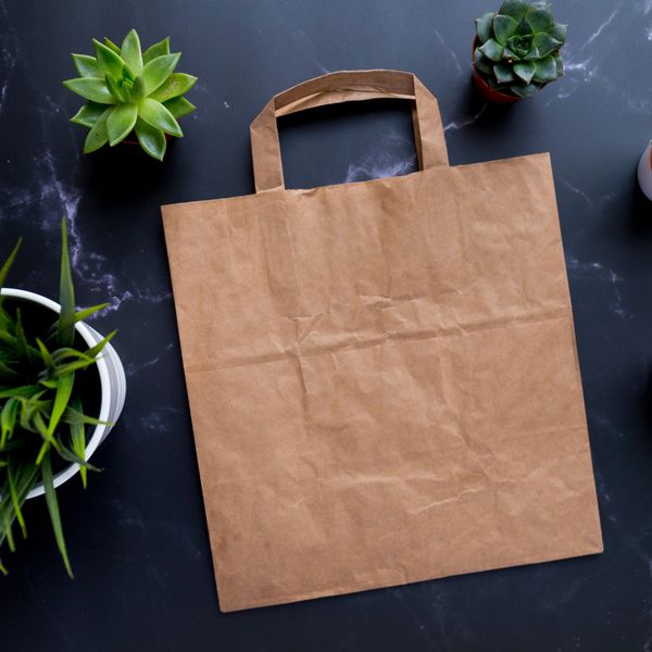Sacs et boites Kraft Ecologique