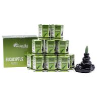 Pack de 10 Encens Masala Backflow - Eucalyptus