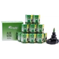 Pack de 10 Encens Masala Backflow - Aloe Vera