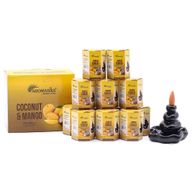 Pack de 10 Encens Masala Backflow - Noix de Coco et Mangue