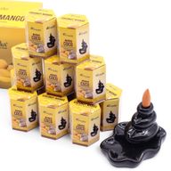 Pack de 10 Encens Masala Backflow - Noix de Coco et Mangue