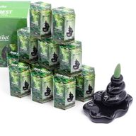Pack de 10 Encens Masala Backflow - Forêt Tropicale