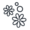 Fleurs de savon