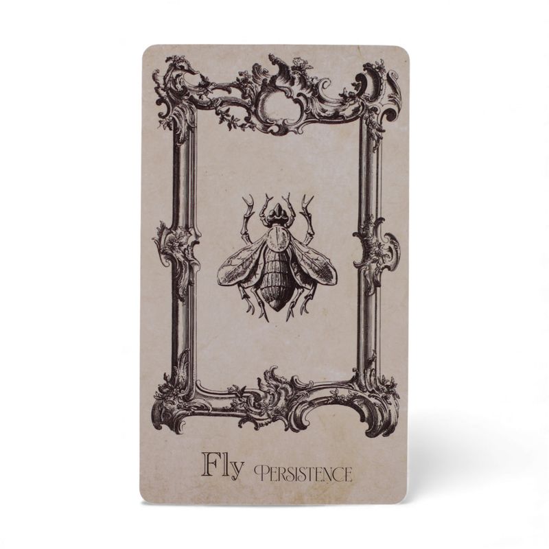 Cartes Oracle Grimoire – Jeu de Sorcellerie