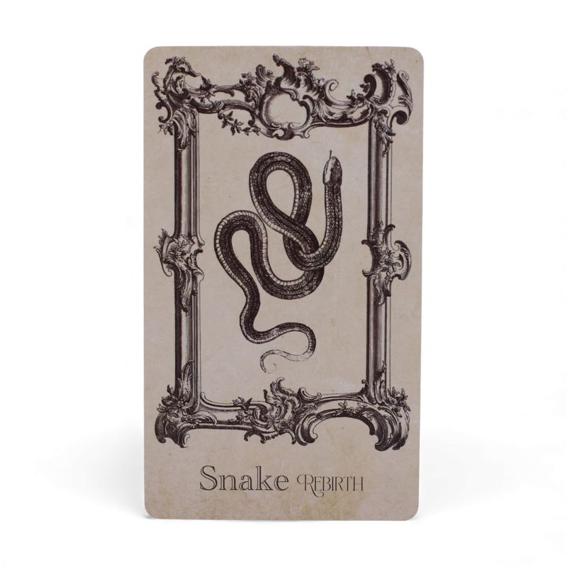 Cartes Oracle Grimoire – Jeu de Sorcellerie