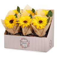 Présentoir de Fleurs de Savon – Tournesol