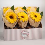 Présentoir de Fleurs de Savon – Tournesol