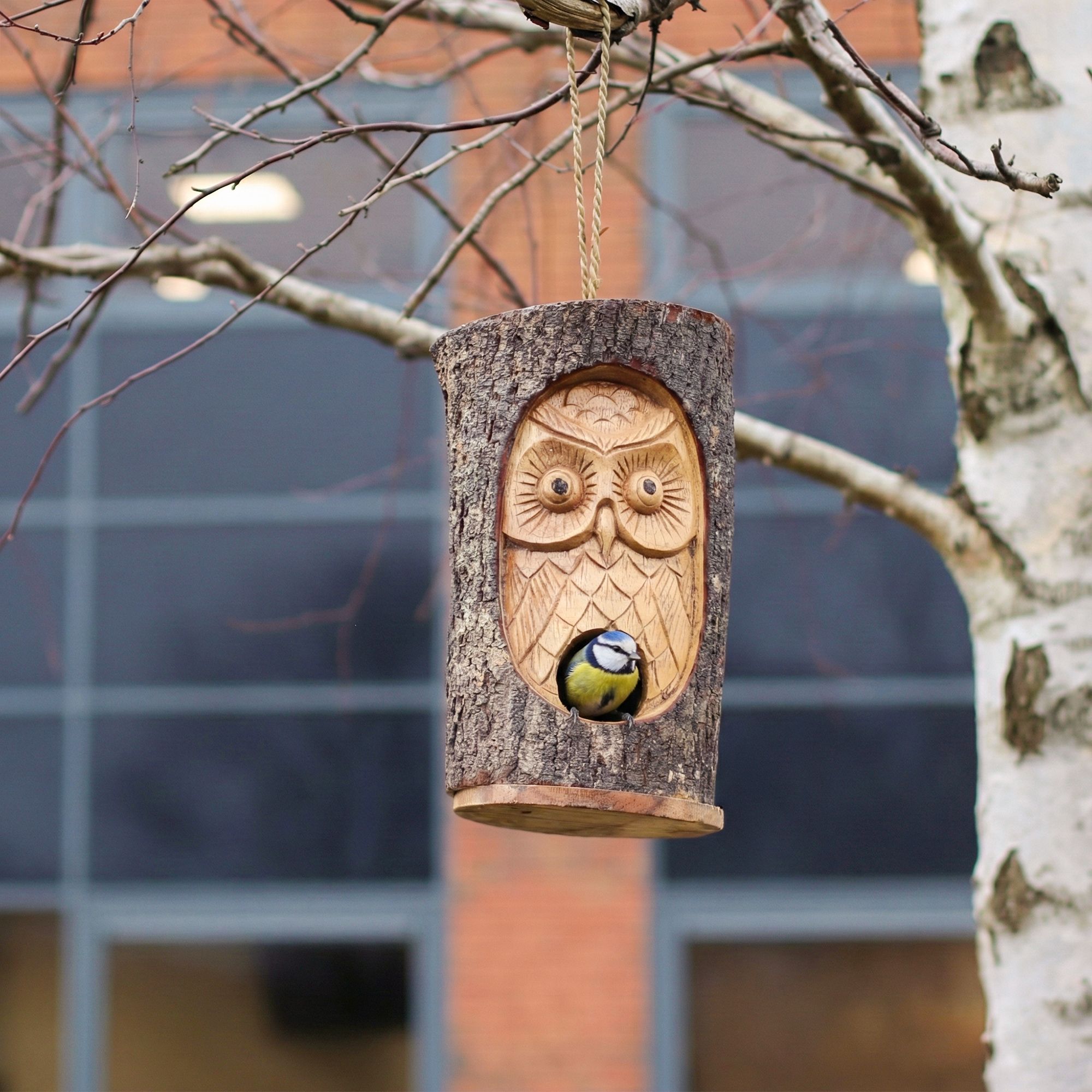 Mangeoires Artisanales pour Oiseaux