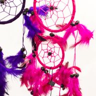 Cercles Moyens - Turquoise, Rose et Violet