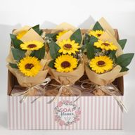 Boîte Cadeau de Fleurs de Savon – Bouquet de Deux Tournesols