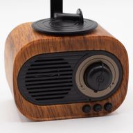 Mini Gramophone Rétro - Bluetooth & Radio FM - 5 watts x 1
