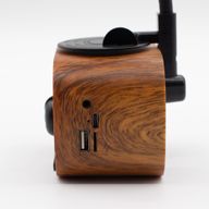 Mini Gramophone Rétro - Bluetooth & Radio FM - 5 watts x 1