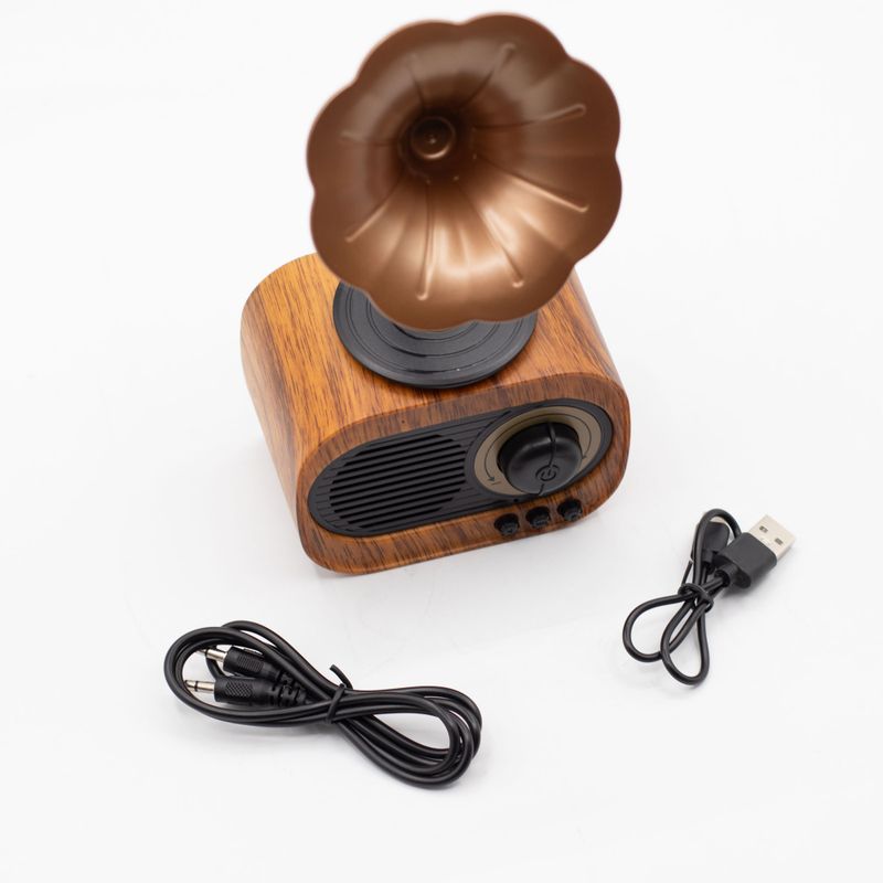 Mini Gramophone Rétro - Bluetooth & Radio FM - 5 watts x 1