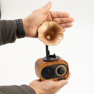 Mini Gramophone Rétro - Bluetooth & Radio FM - 5 watts x 1