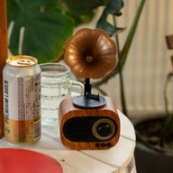 Mini Gramophone Rétro - Bluetooth & Radio FM - 5 watts x 1