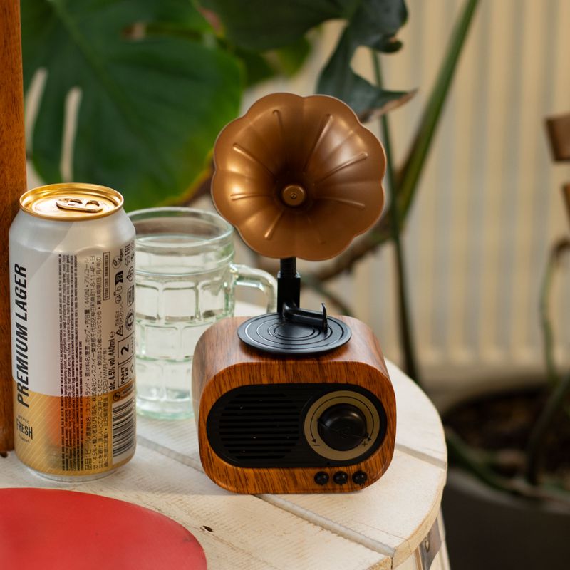Mini Gramophone Rétro - Bluetooth & Radio FM - 5 watts x 1