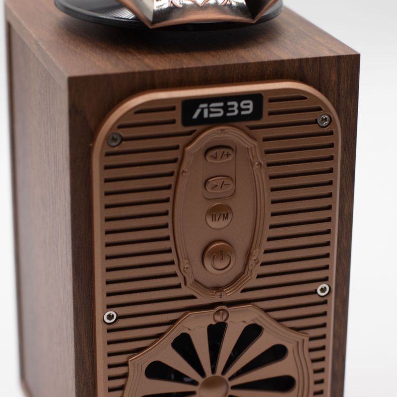 Gramophone Rétro Grand Modèle (Très Puissant) - Bluetooth - 8 watts