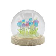 Dôme Jardin Floral - 20 Tulipes Multicolores - LED USB