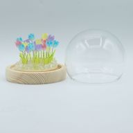 Dôme Jardin Floral - 20 Tulipes Multicolores - LED USB