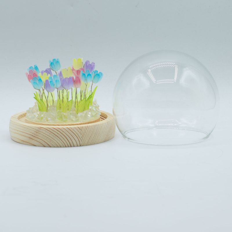 Dôme Jardin Floral - 20 Tulipes Multicolores - LED USB